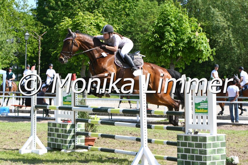 204M5467_African Music_Spring_L.JPG